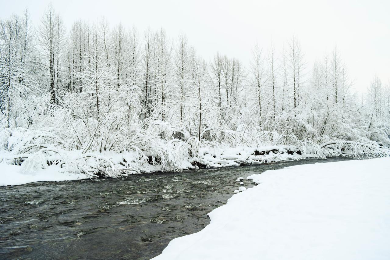 Snowbird Chalet #8 Girdwood Luaran gambar