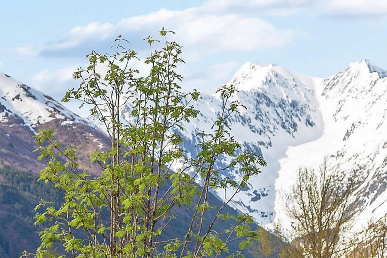Snowbird Chalet #8 Girdwood Luaran gambar