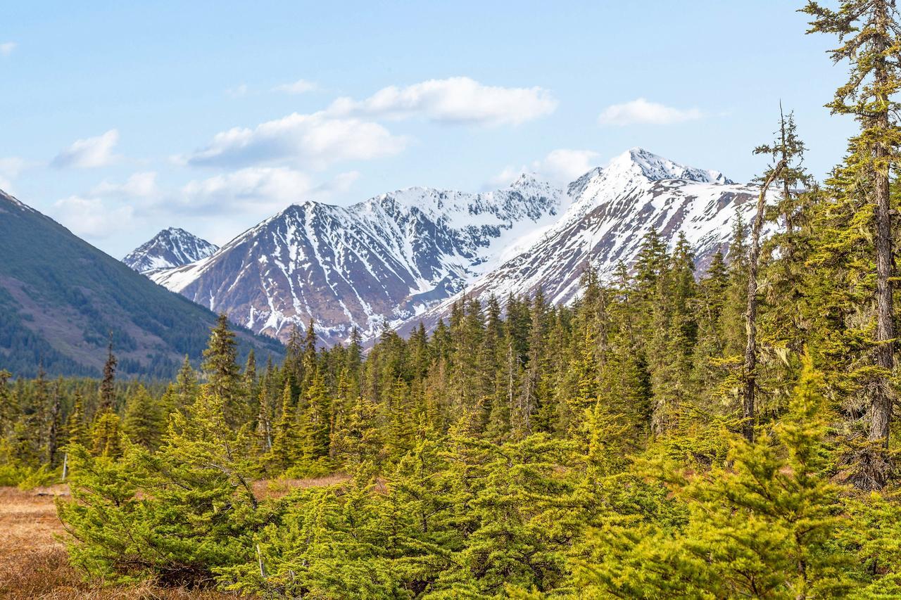 Snowbird Chalet #8 Girdwood Luaran gambar